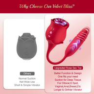 Velvet Bliss 3 in 1 Rose Toys Vibrators